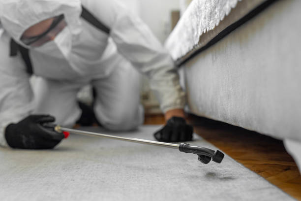 Professional Termite Control technician working in Altamont, OR